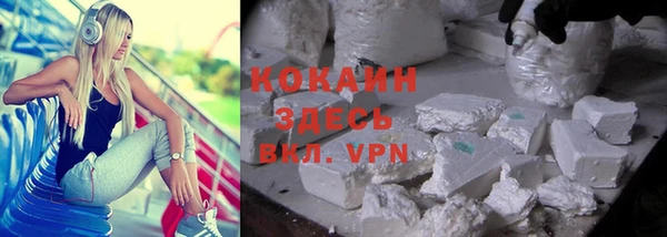 индика Беломорск