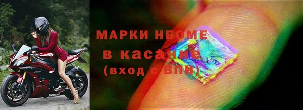 индика Белокуриха