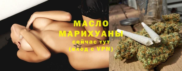 индика Беломорск