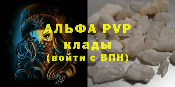 индика Белокуриха
