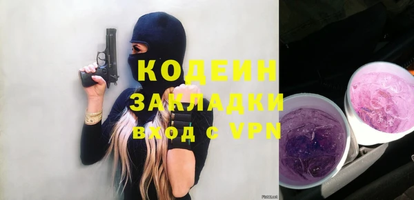 индика Беломорск