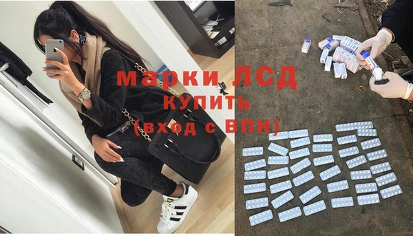 индика Беломорск