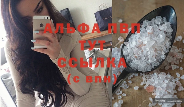 индика Белокуриха