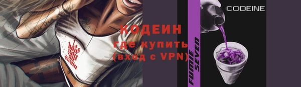 индика Беломорск