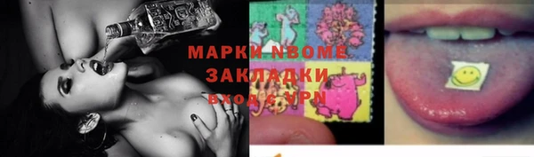 индика Белокуриха