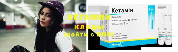 индика Беломорск