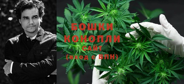 индика Белокуриха