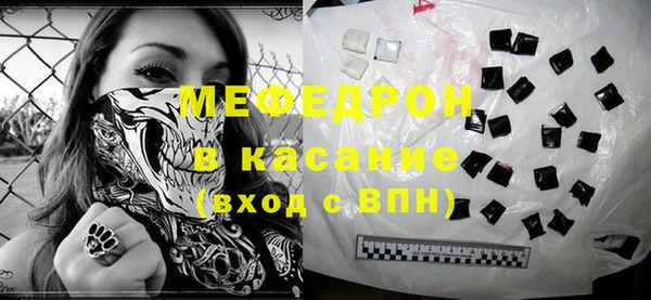 индика Беломорск