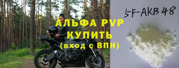 индика Белокуриха