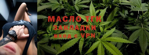 индика Белокуриха