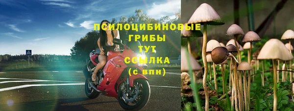 индика Беломорск