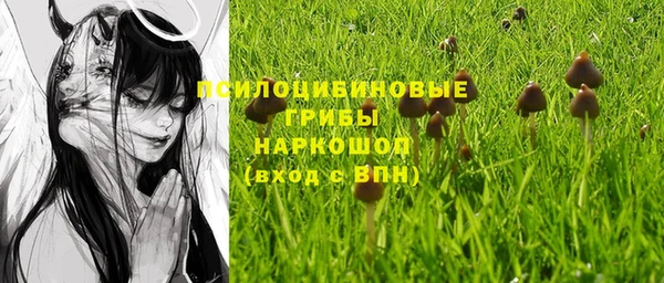индика Беломорск