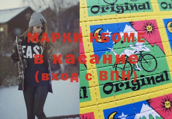 индика Белокуриха