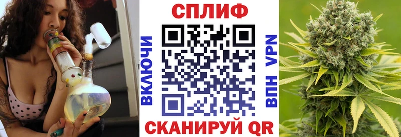 наркотики  Электросталь  Каннабис индика 